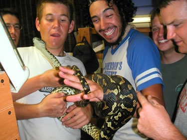 We stayed with Kelly's uncle in Longmont, CO. 
He collects snakes.