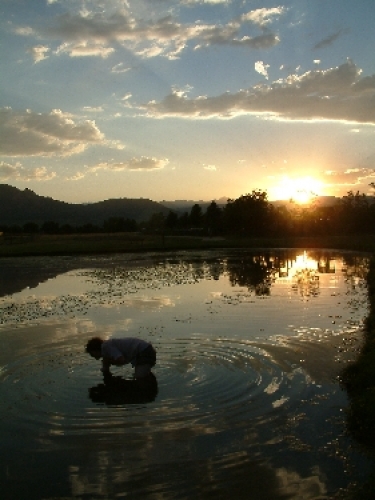 Rich got really hungry, so he decided to grab a fish in the lake by the Rockies.